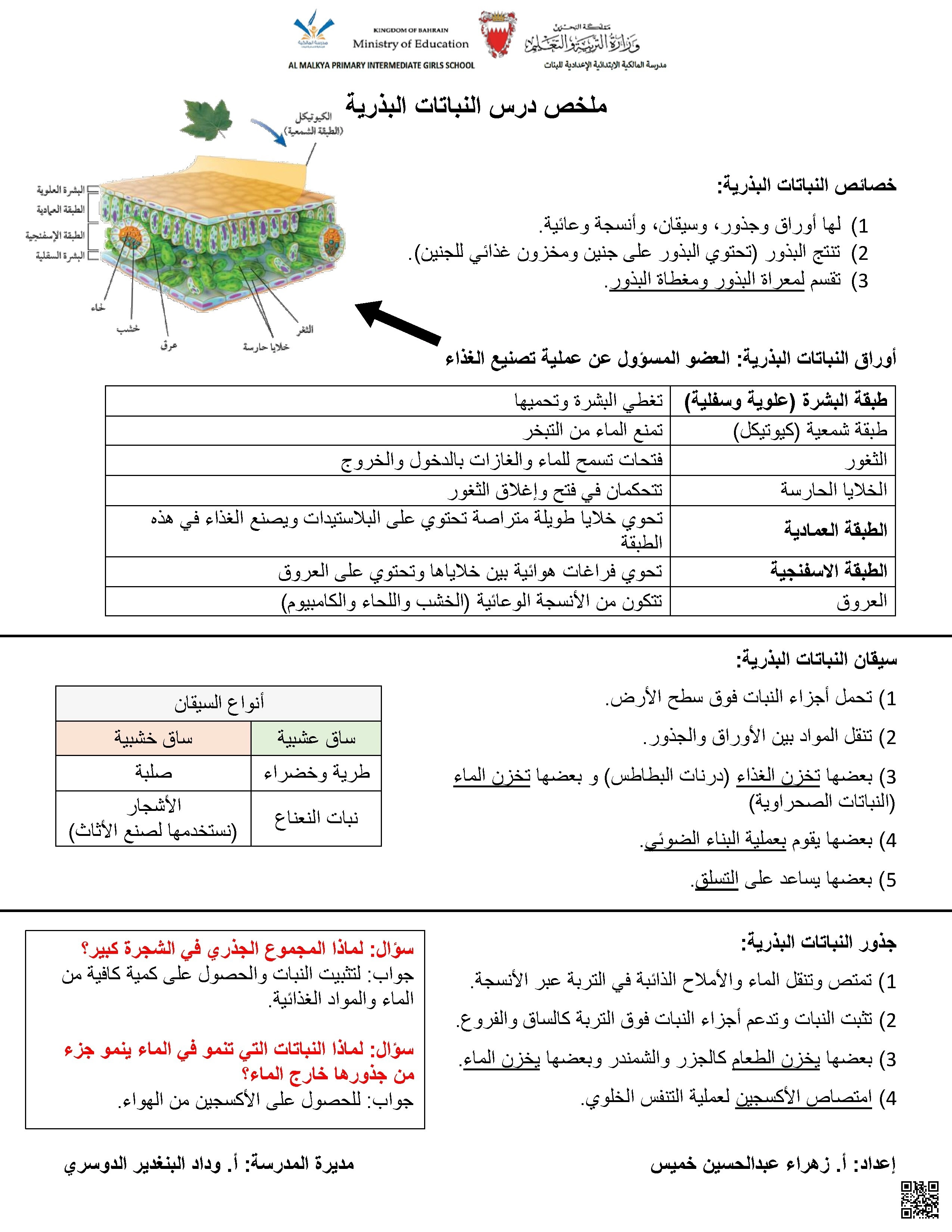 ملخص شامل عن النباتات البذرية - علوم - الصف الصف السابع - الفصل الفصل الأول