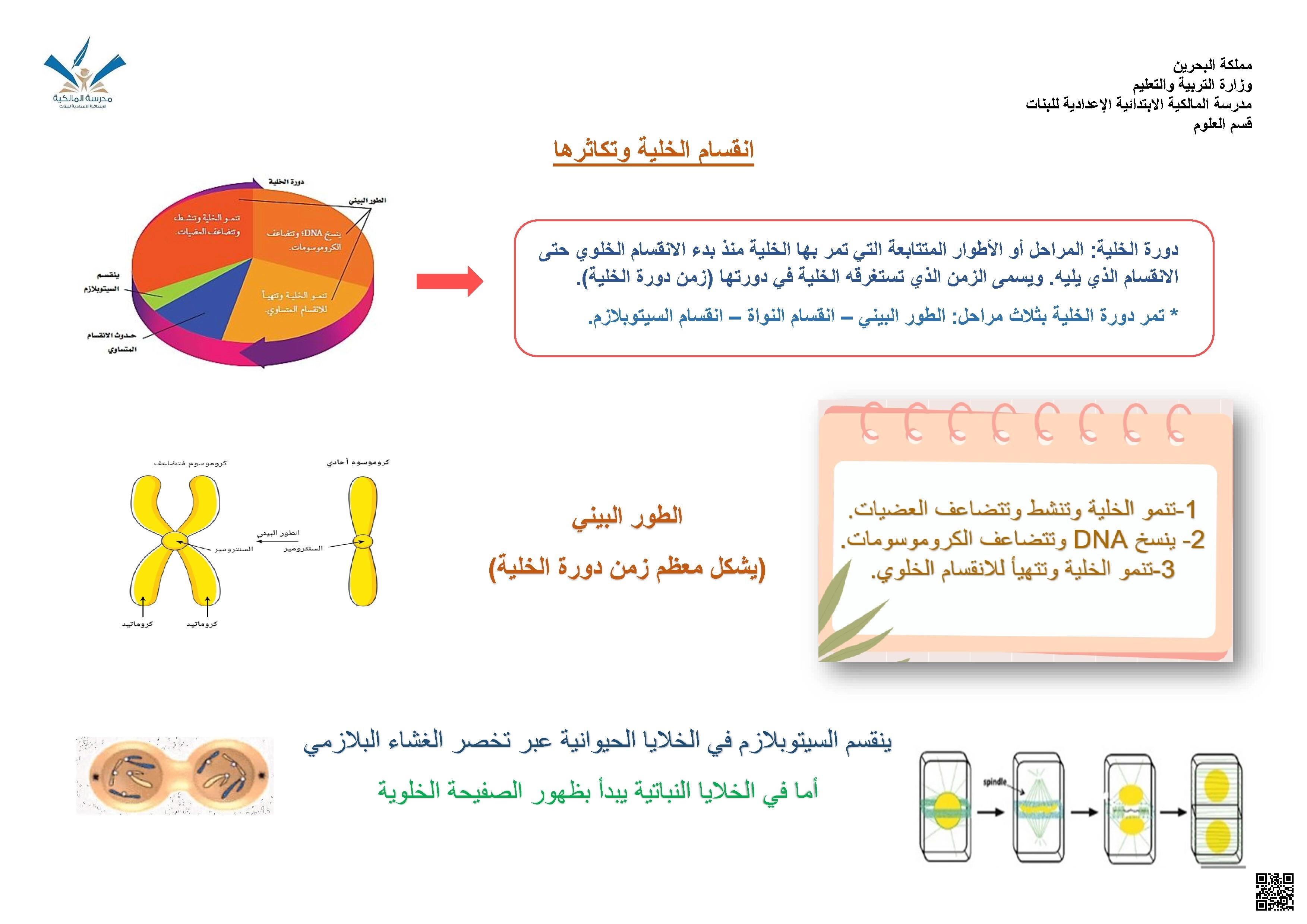 ملخص درس انقسام الخلية - علوم - الصف الصف التاسع - الفصل الفصل الثاني