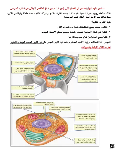 ملخص للاختبار الأول