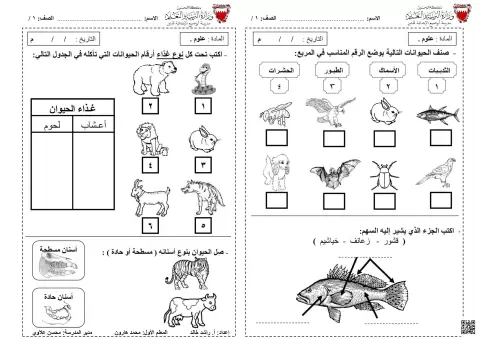 نشاط تعليمي في تصنيف الحيوانات وتكيفها