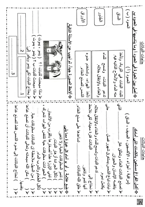 أوراق عمل درس حاجات النباتات