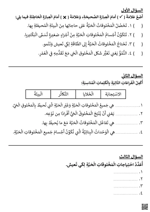 مراجعة
