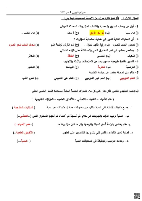 نموذج تدريبي للوقفة الأولى (محلول)