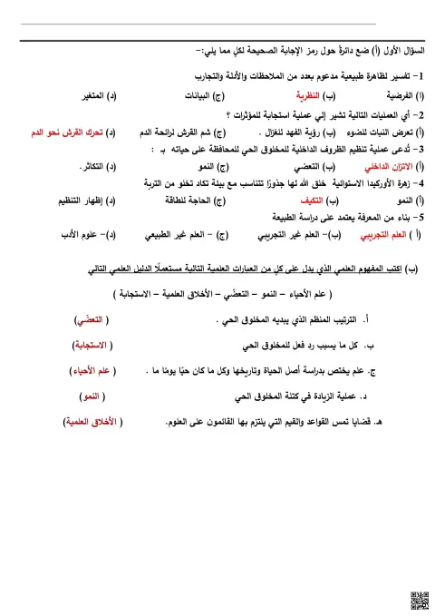 نموذج تدريبي للوقفة الأولى (محلول)