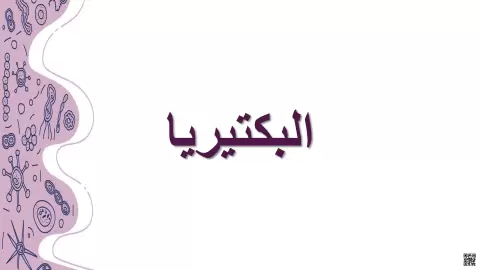 ملخص تعليمي حول خصائص وتصنيف البكتيريا