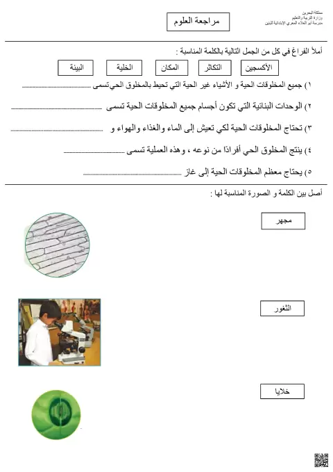 مراجعة