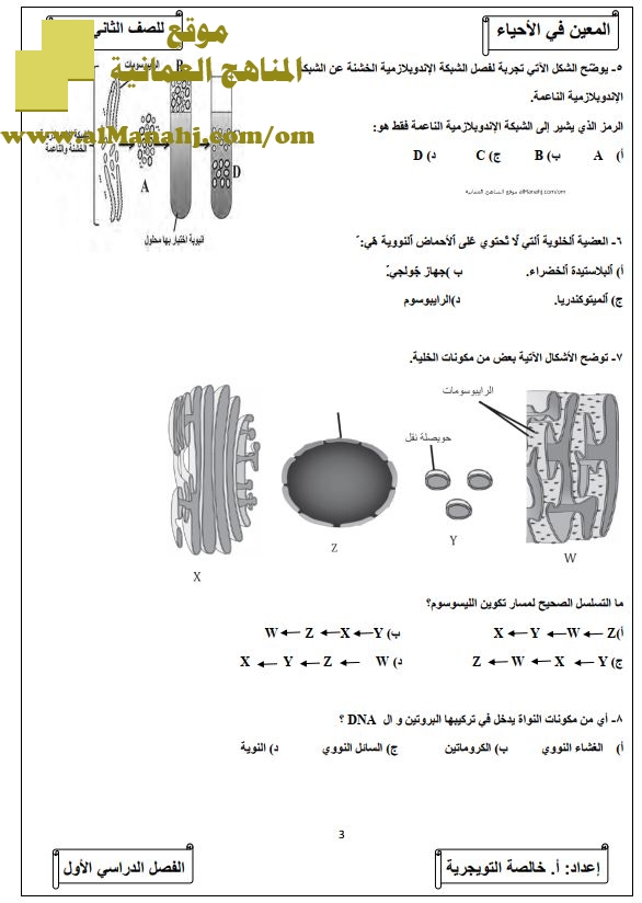 المعين