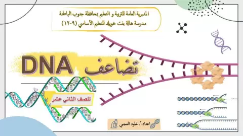 تضاعف DNA