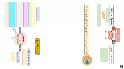 سؤال وجواب حول تضاعف DNA وعمليات النسخ والترجمة