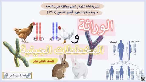 الوراثة والمخططات الجينية