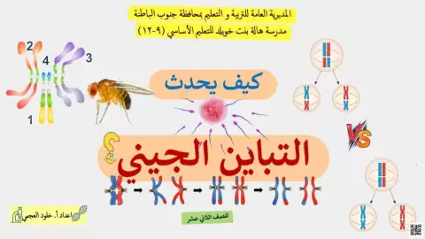 كيف يحدث التباين الجيني