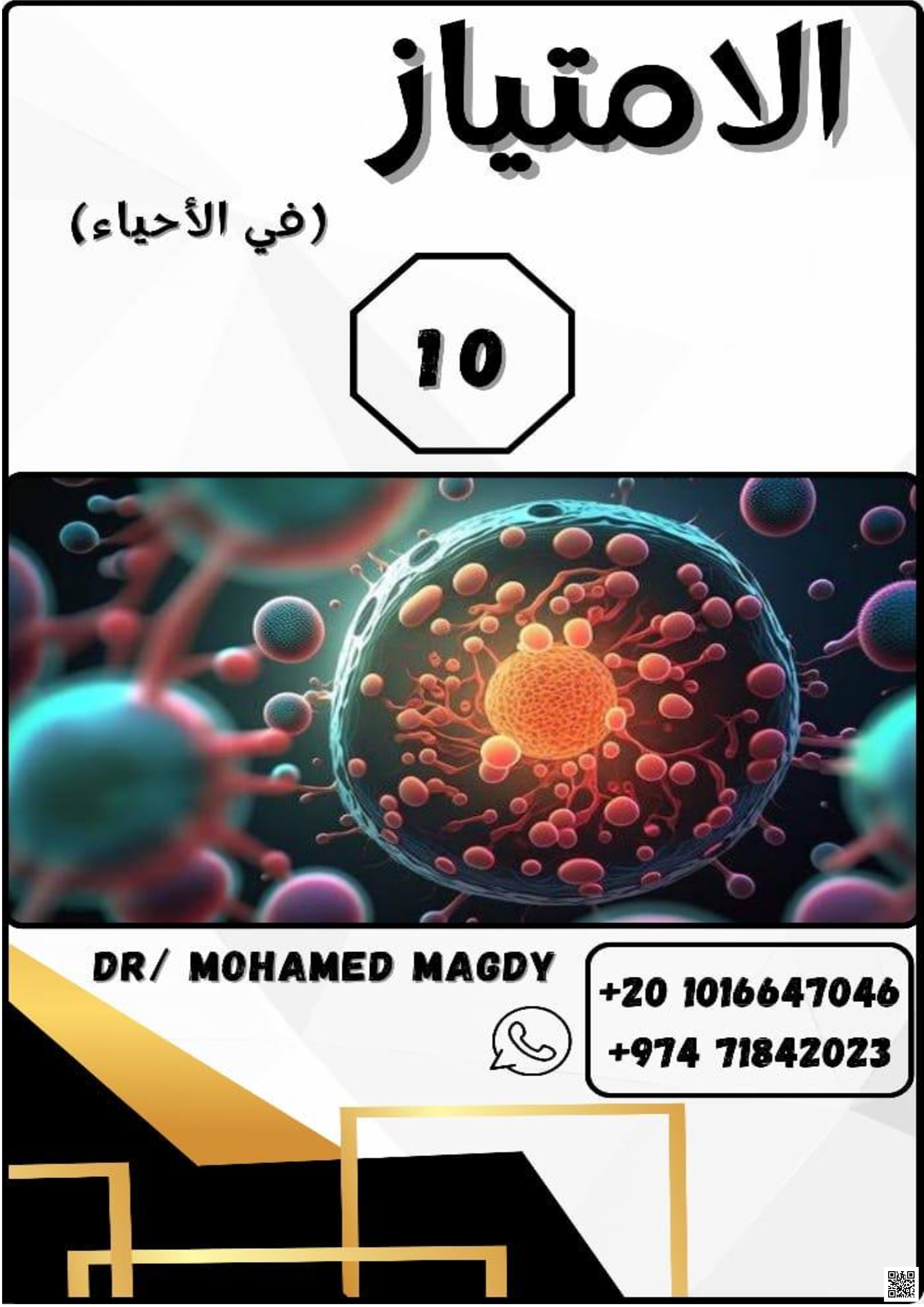 مراجعة وملزمة الامتياز - علوم - الصف المستوى العاشر - الفصل الفصل الثاني