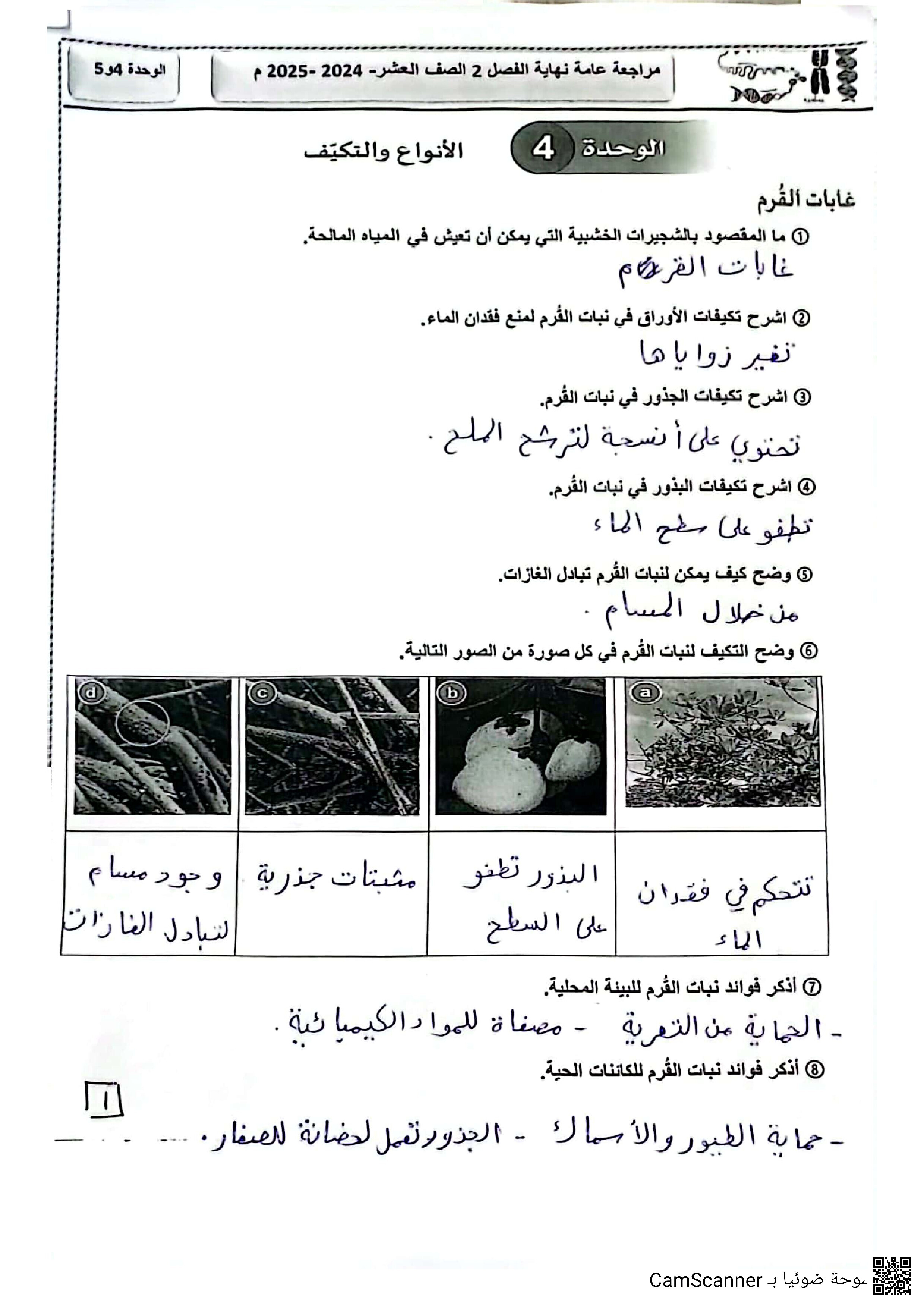 أوراق عمل وملازم مجابة خاصة باختبار نهاية الفصل - علوم - الصف المستوى العاشر - الفصل الفصل الثاني