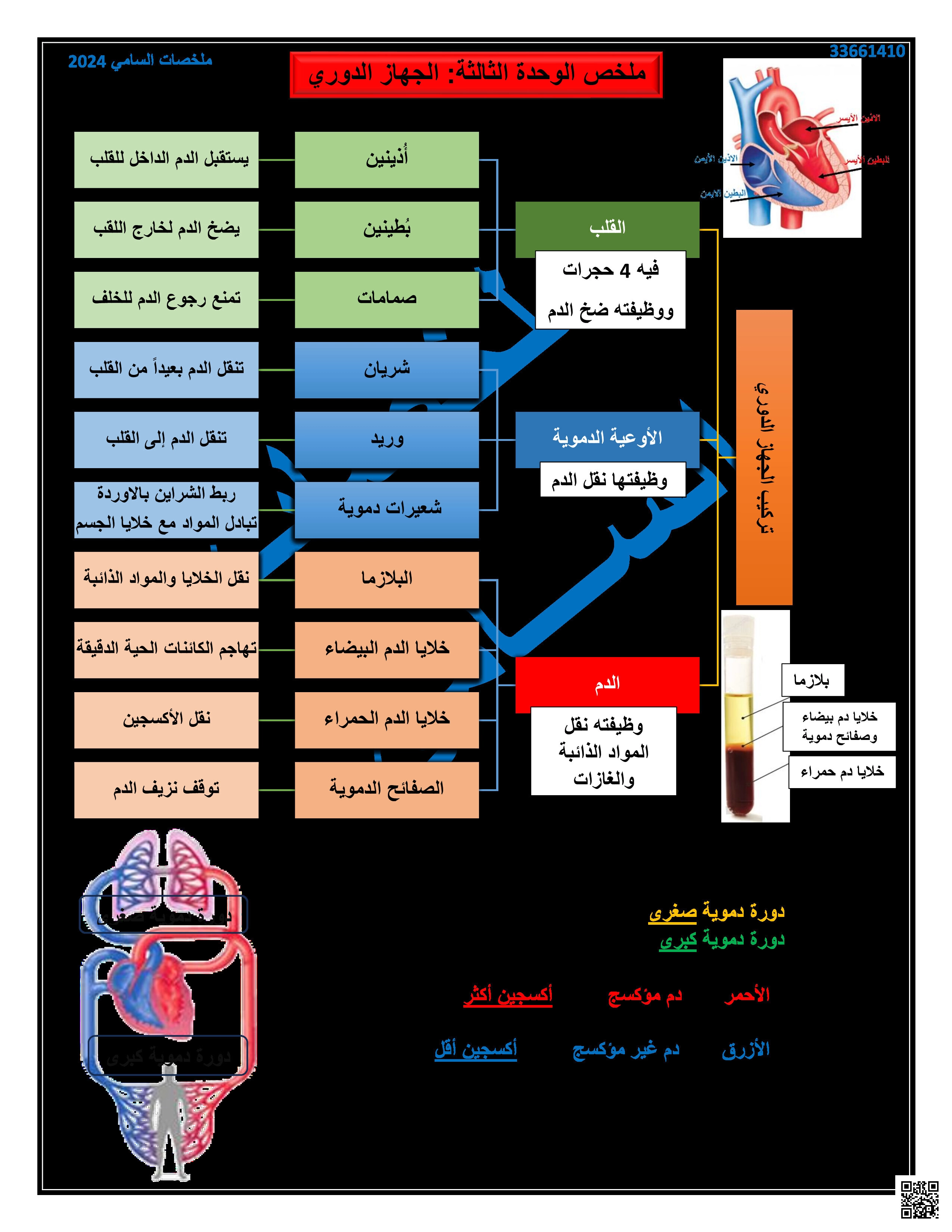 ملخص الوحدة الثالثة الجهاز الدوري - علوم - الصف المستوى الثامن - الفصل الفصل الأول