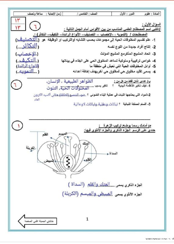 نموذج اختبار نهائي مع الإجابة الصف الخامس علوم الفصل الأول 1445