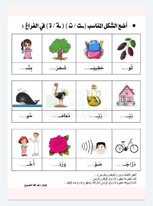 قطعة احتكار تشخيص  ورقة عمل التاء المفتوحة والتاء المربوطة, الصف الأول, لغة عربية, الفصل الأول  - المناهج السعودية