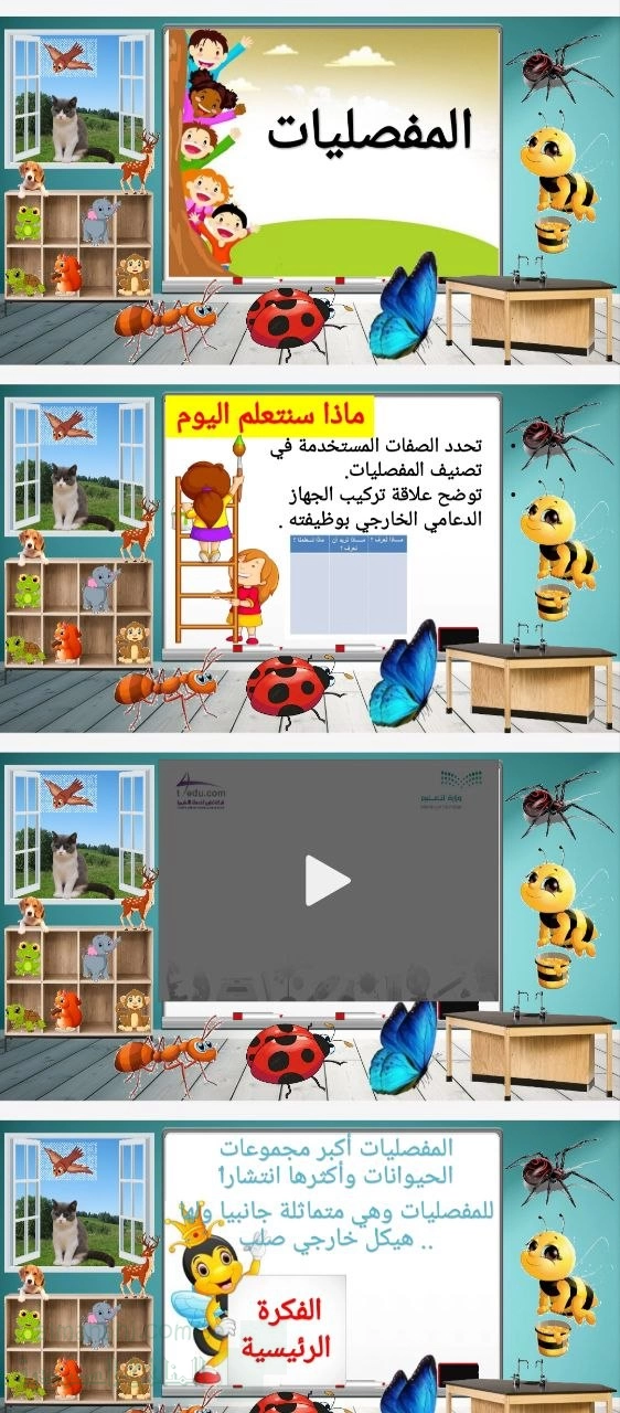 بوربوينت الحيوانات الفقرية المفصليات