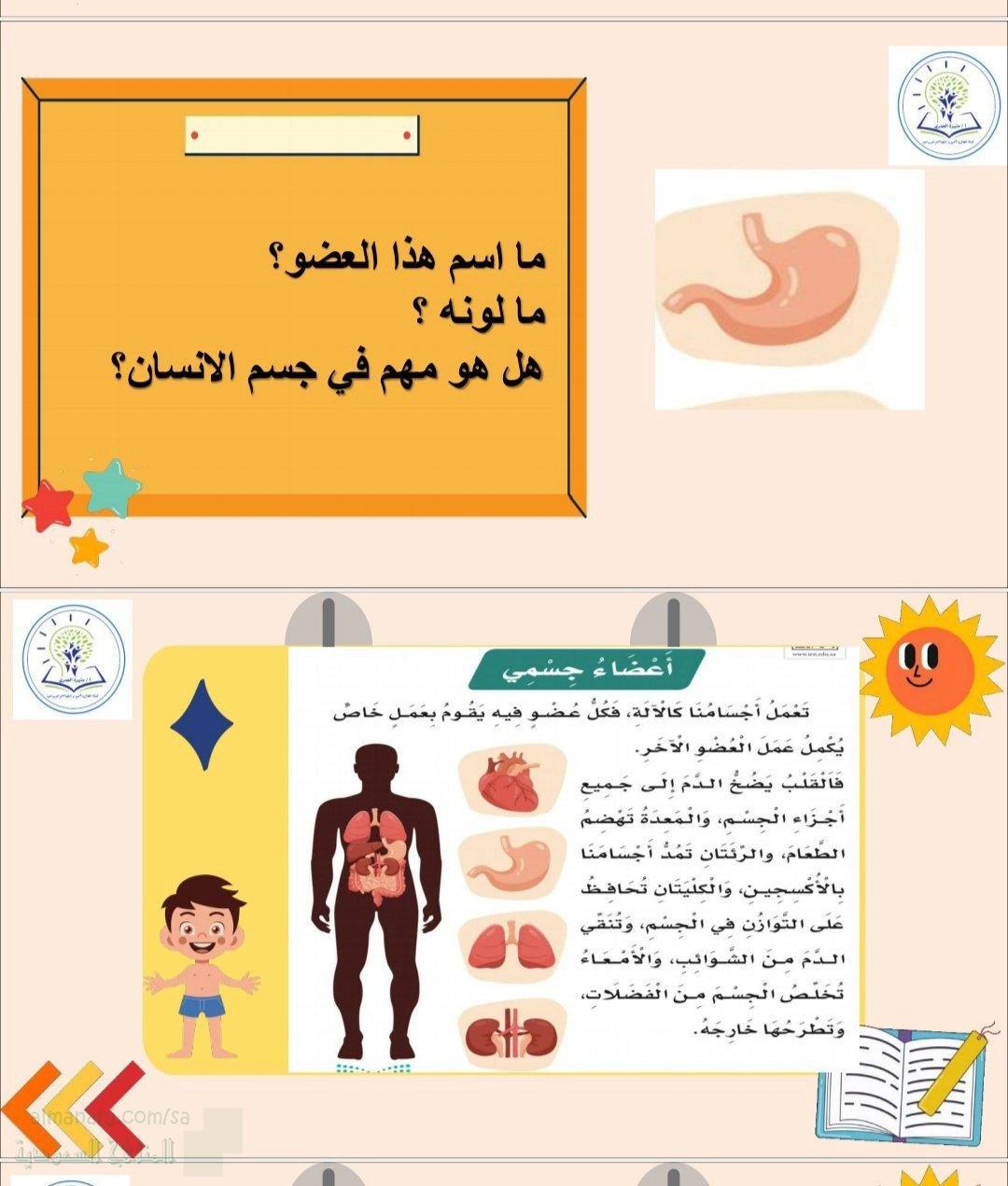 ورقة عمل تفاعلية درس أعضاء جسمي