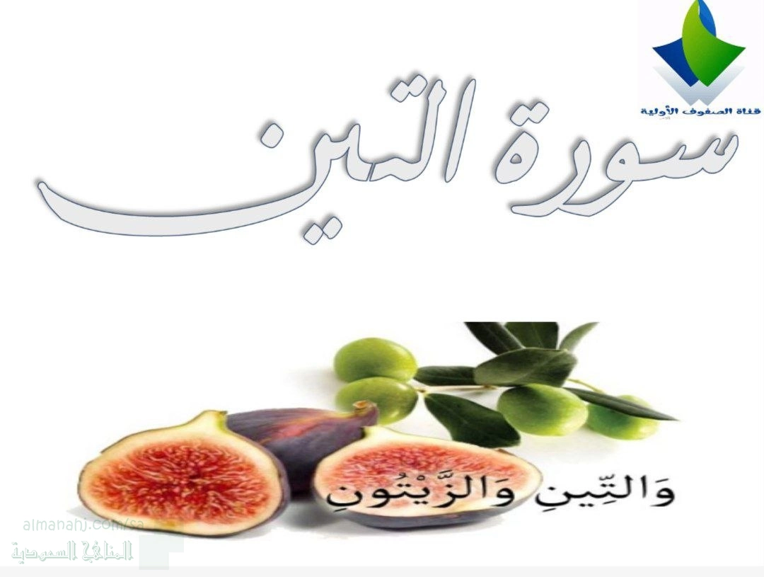 درس سورة التين