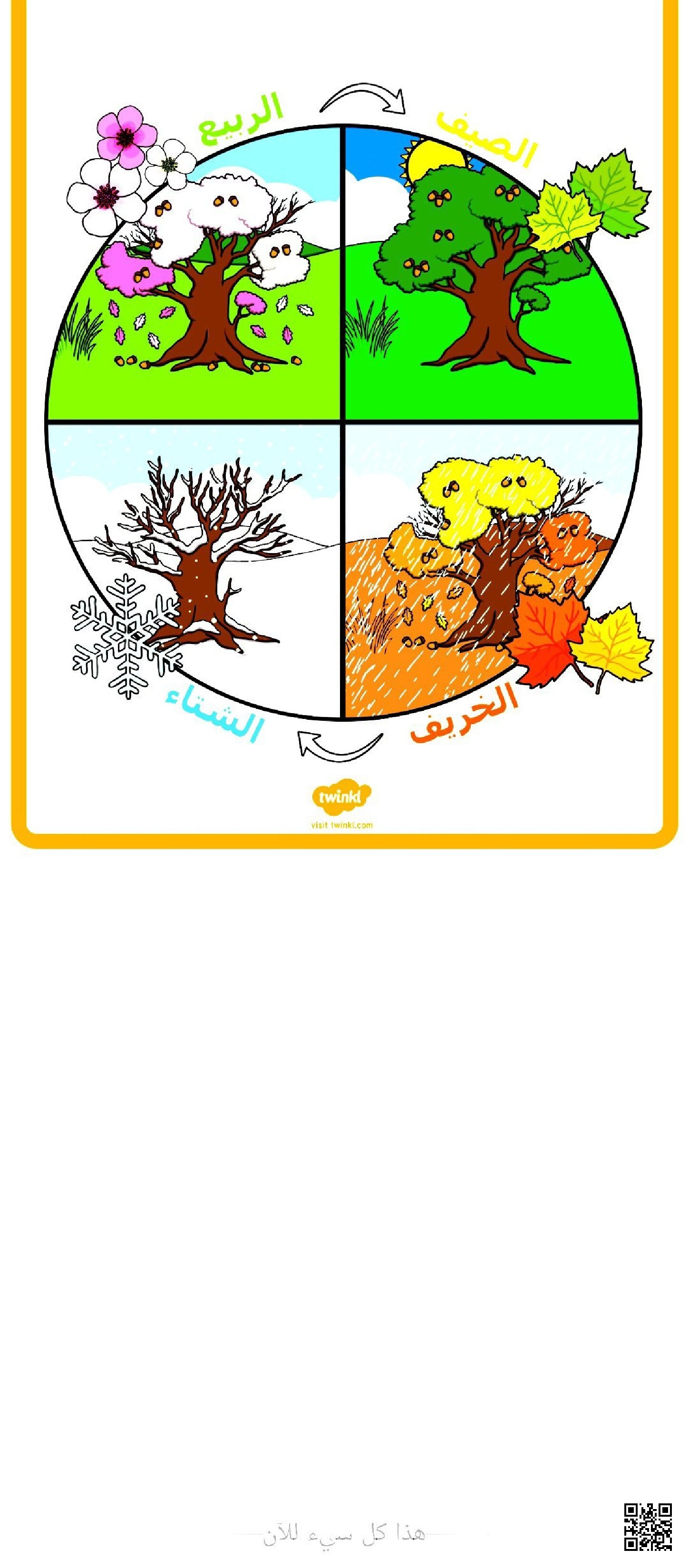 عرض صوري لفصول السنة - علوم - الصف الصف الأول - الفصل الفصل الثاني