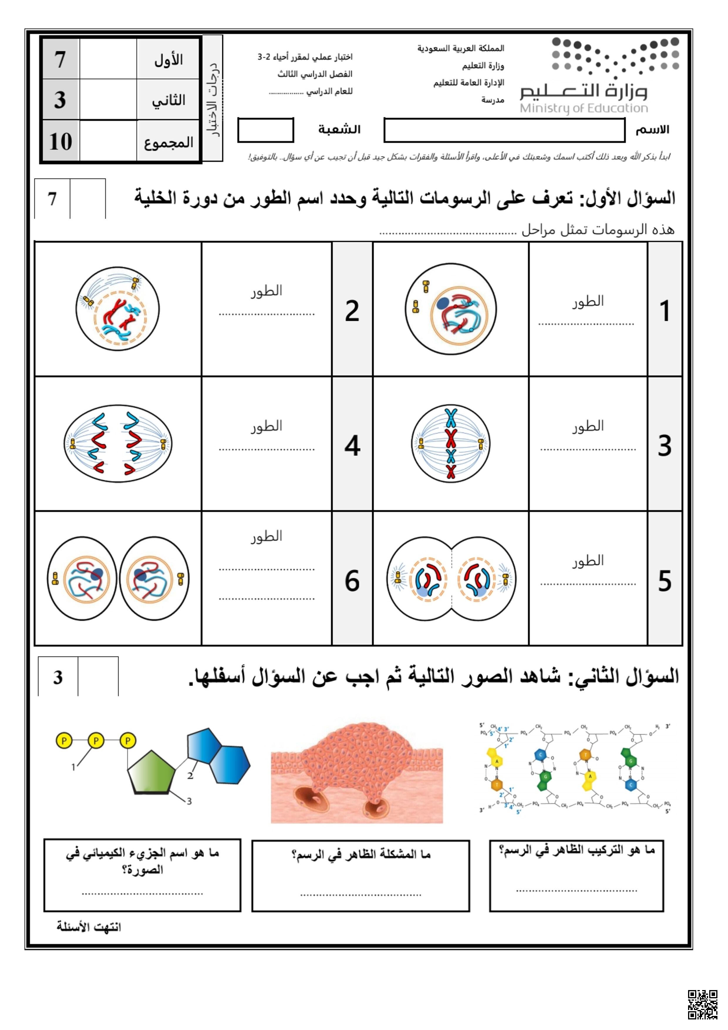 نموذج اختبار أحياء 2 عملي - علوم - الصف الصف الثاني الثانوي - الفصل الفصل الثالث