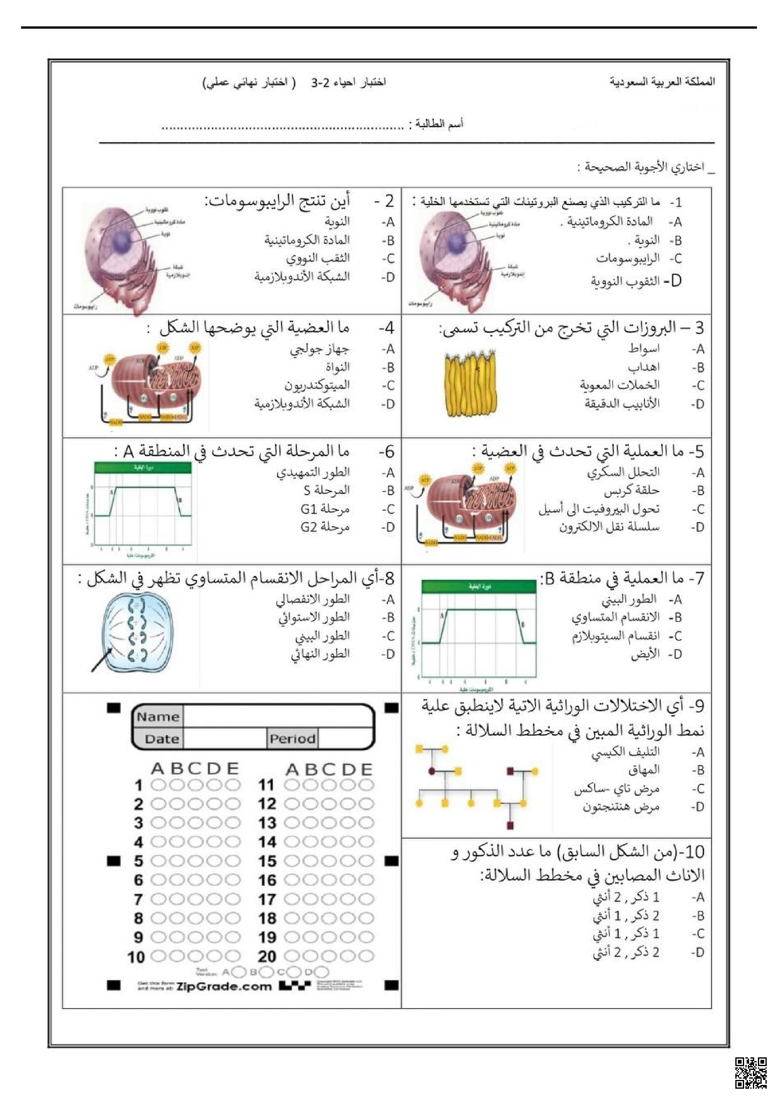 اختبار أحياء عملي - علوم - الصف الصف الثاني الثانوي - الفصل الفصل الثالث