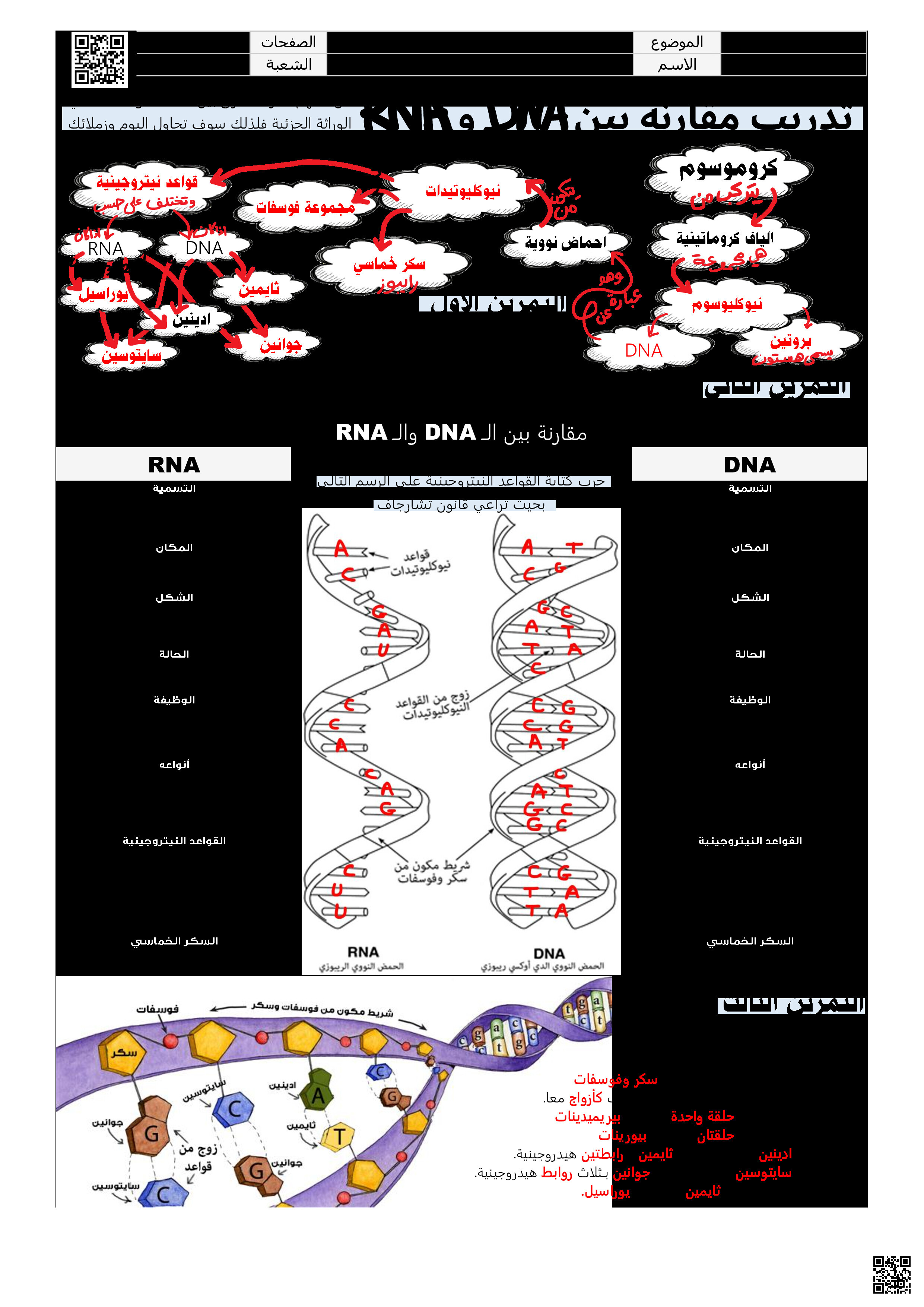 ملزمة أحياء الفرق بين DNA و RNA - علوم - الصف الصف الثاني الثانوي - الفصل الفصل الثالث