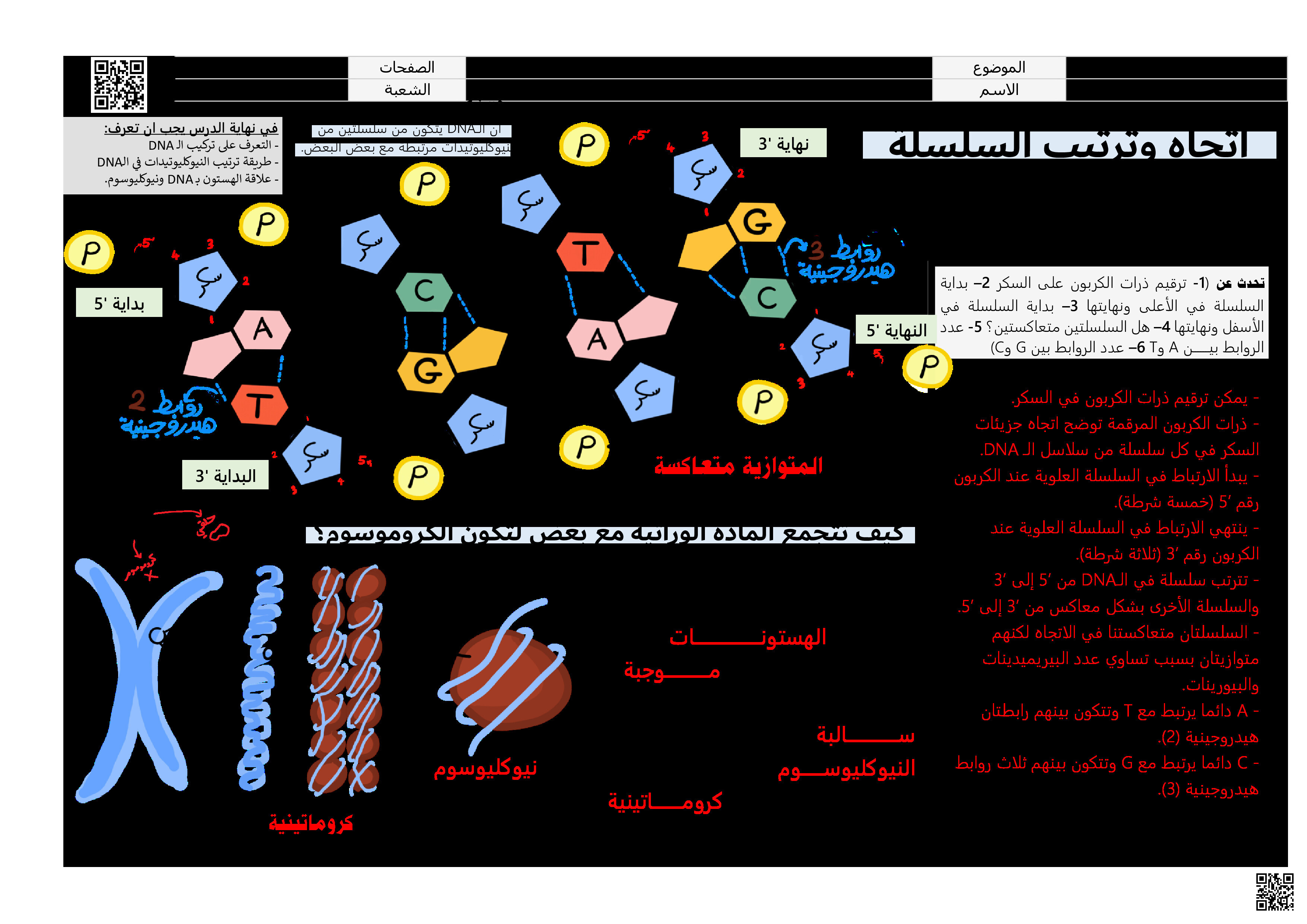 ملزمة أحياء 2 تركيب المادة الوراثية DNA - علوم - الصف الصف الثاني الثانوي - الفصل الفصل الثالث