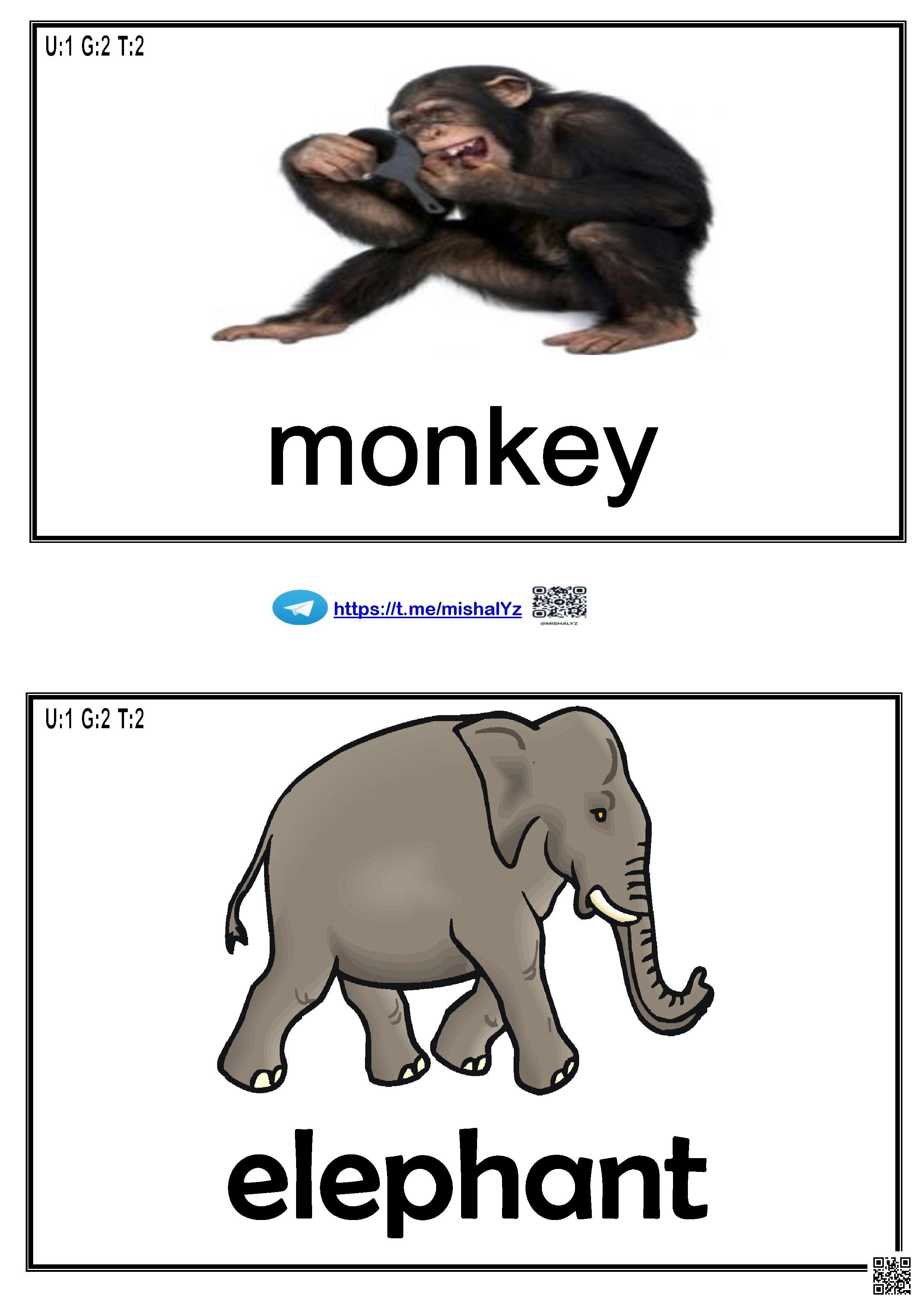 قاموس مصور موجز للطلاب وحدة الحيوانات البرية - لغة انجليزية - الصف الصف الثاني - الفصل الفصل الثاني