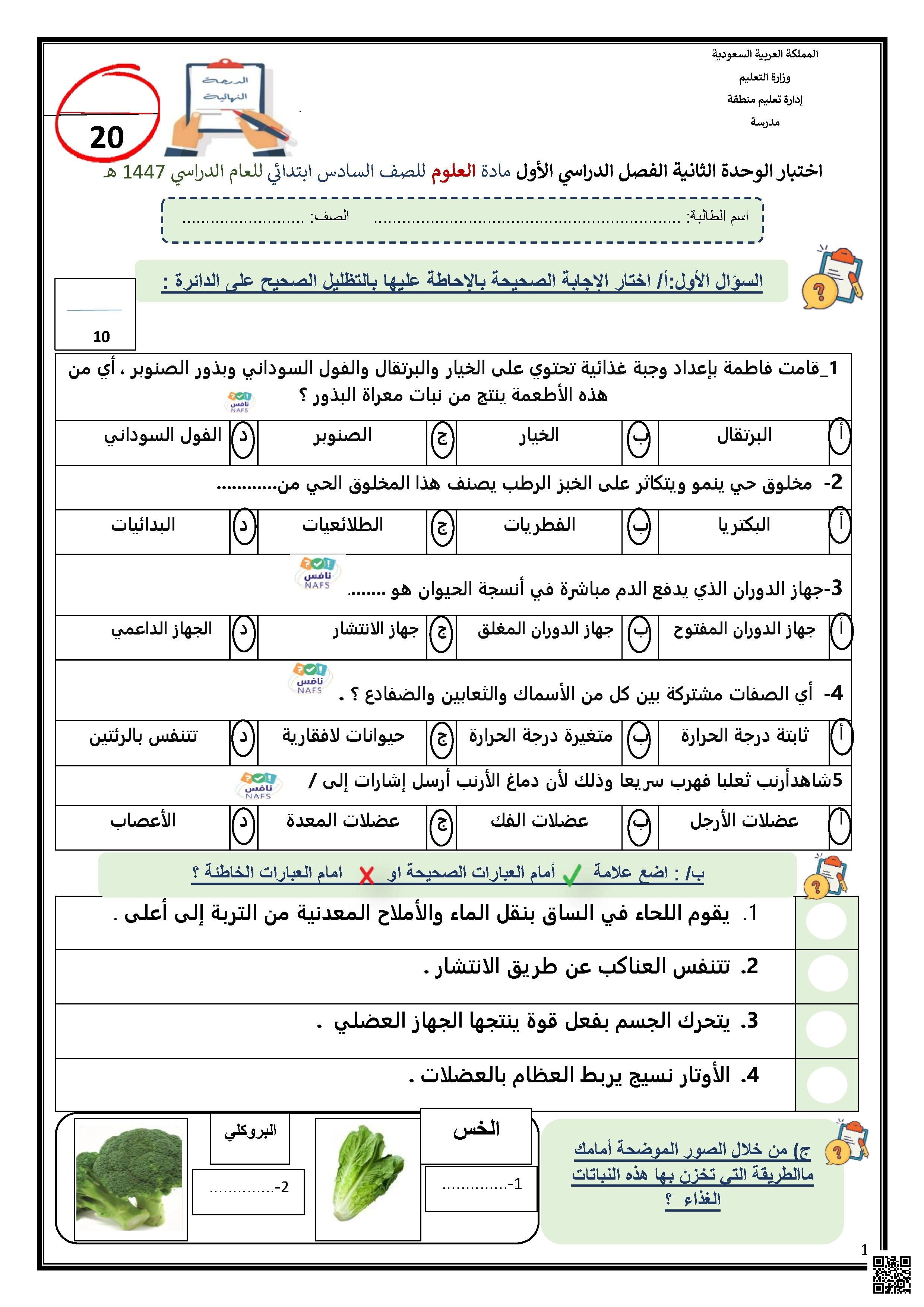 اختبار الفترة الثانية للفصل الأول 1447ه‍ - علوم - الصف الصف السادس - الفصل الفصل الأول