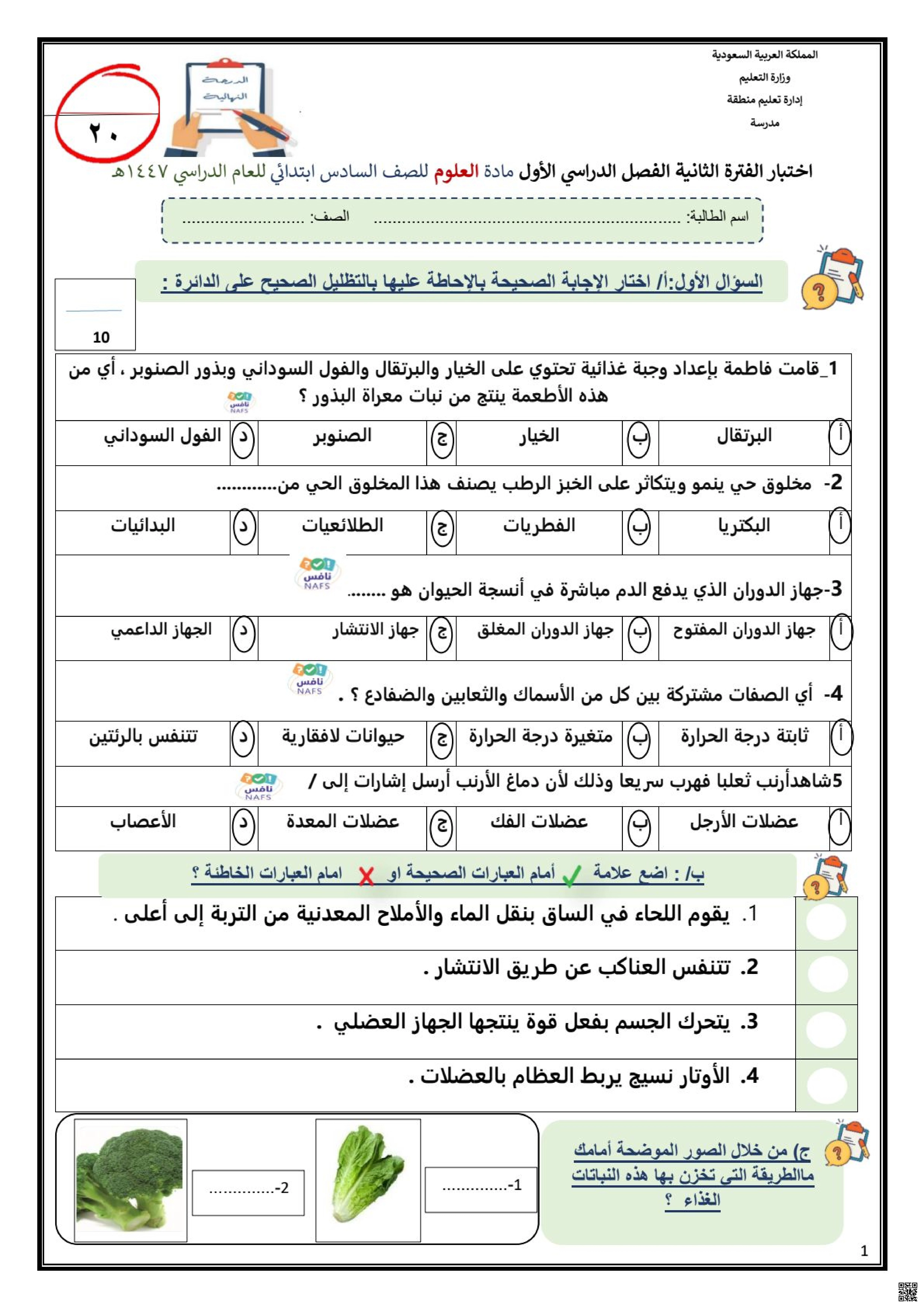 نماذج اختبارات الفترة الثانية مع نماذج الإجابات - علوم - الصف الصف السادس - الفصل الفصل الأول