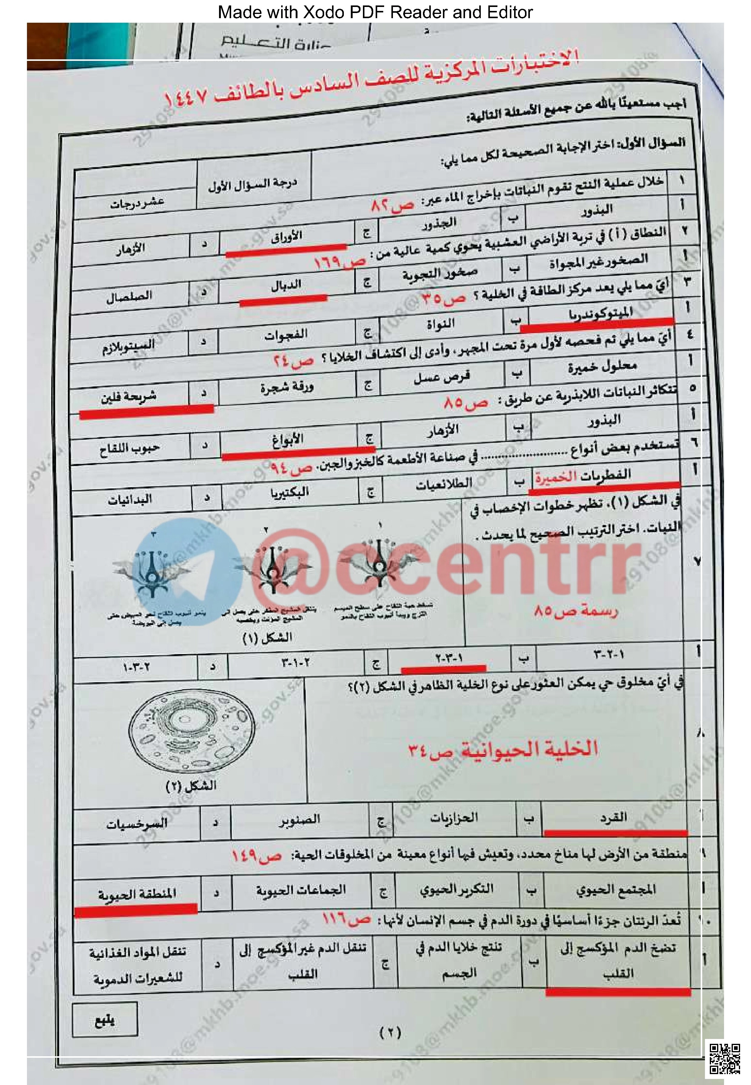 تحليل اختبار مركزي بمنطقة الطائف - لغة عربية - الصف الصف السادس - الفصل الفصل الأول