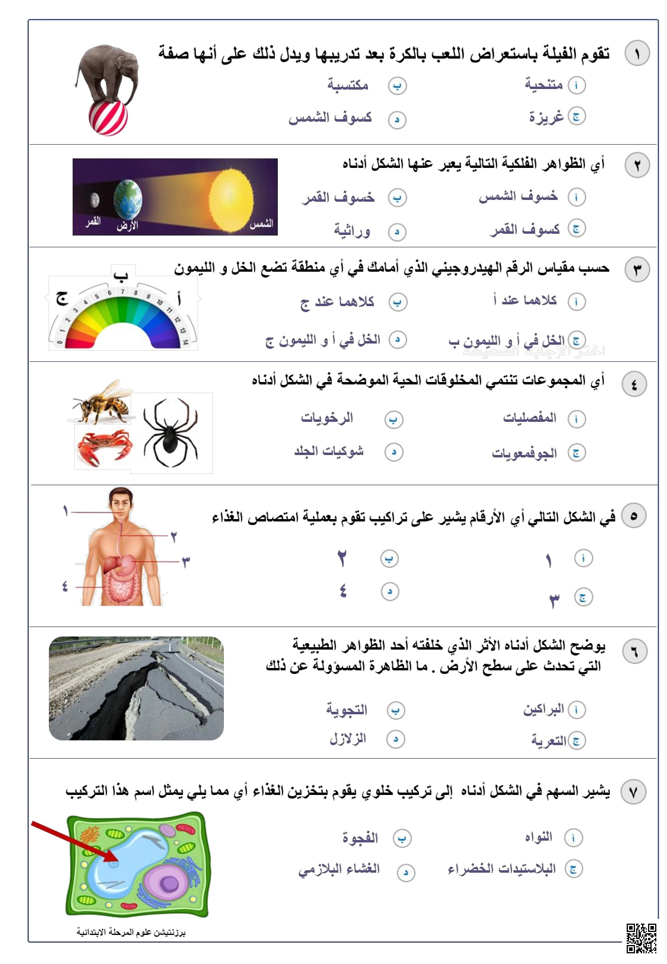 نموذج تدريبات نافس نموذج2 غير محلول - علوم - الصف الصف السادس - الفصل الفصل الثاني
