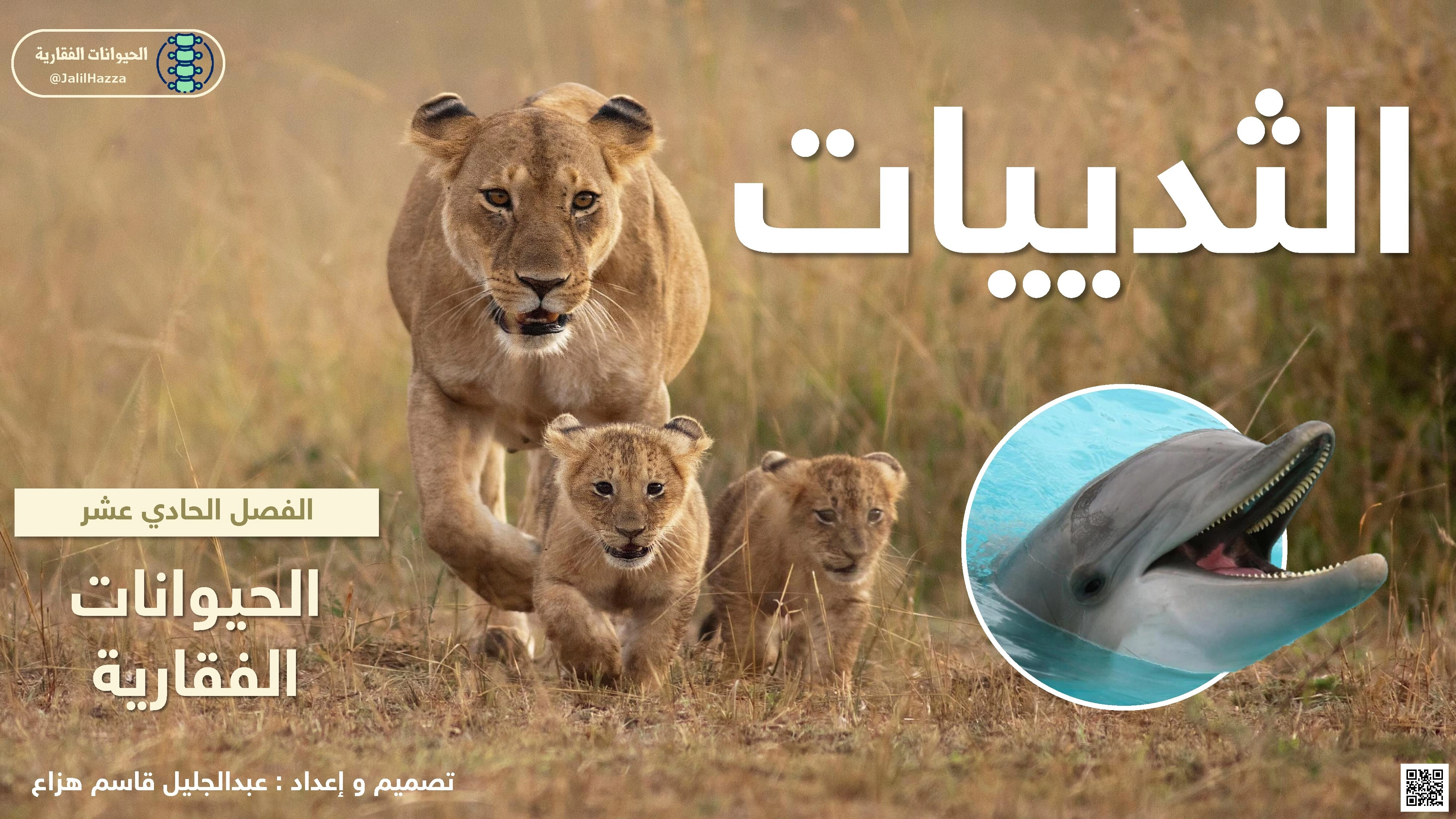 الفصل الحادي عشر الثديات الحيوانات الفقارية