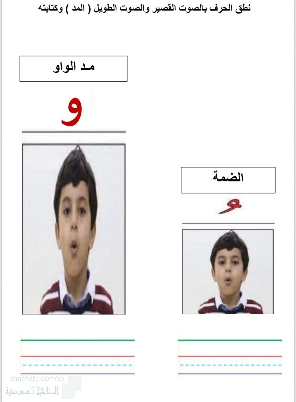 تصميم حركة الضمة