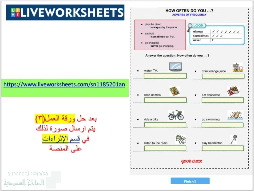 الدرس الثاني الوحدة الرابعة ورقة عمل Grammar