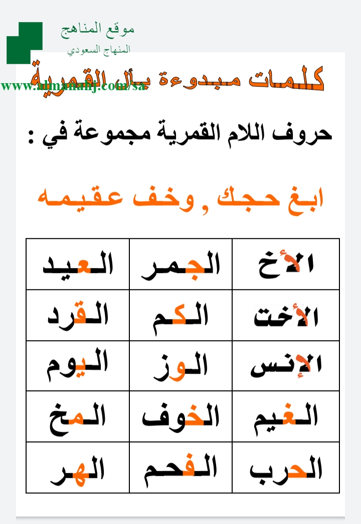 عدد الكلمات في اللغة العربية